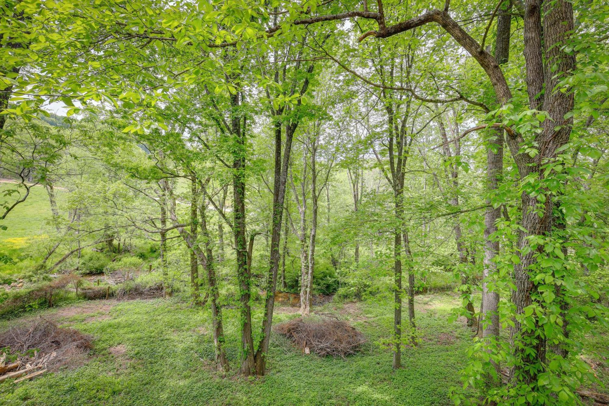 Sparta Quaint Blue Ridge Cabin Rental With On-Site Stream! מראה חיצוני תמונה